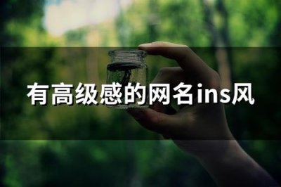 ​有高级感的网名ins风(共182个)