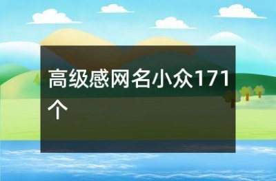 ​高级感网名小众171个