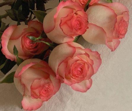 关于学生正能量的句子