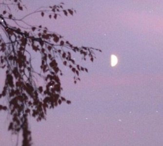 ​好听的女性微信昵称121句