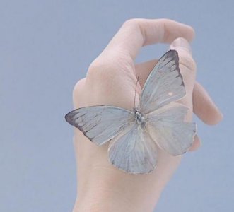 ​qq昵称大全95句