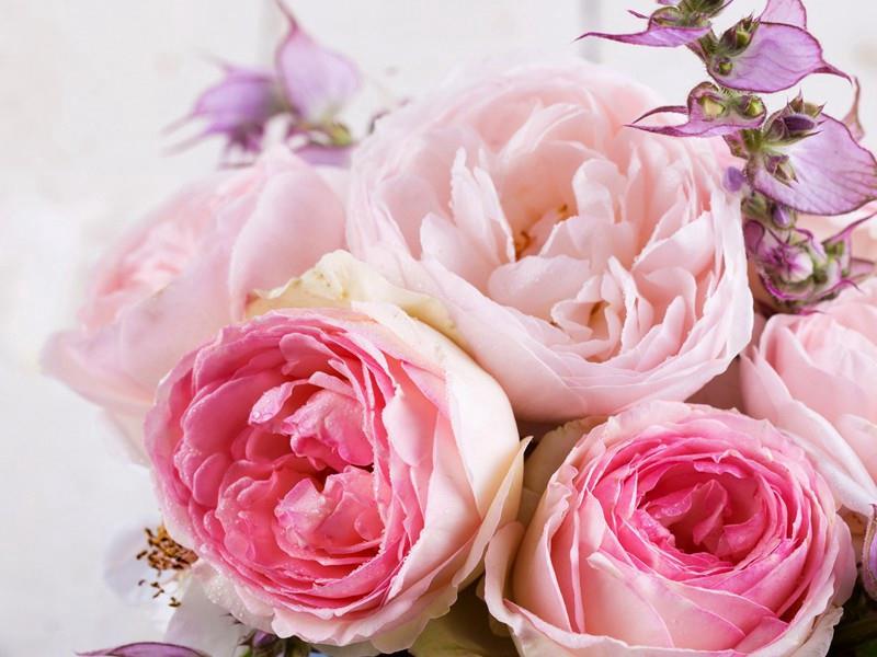 收到老公礼物适合发朋友圈的句子(45句)