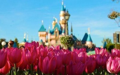 ​小雪经典唯美句子