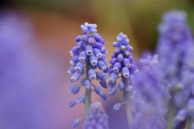 ​形容中秋节的优美句子