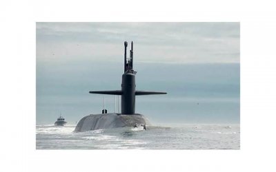 ​关于描写海豚的句子精选88句