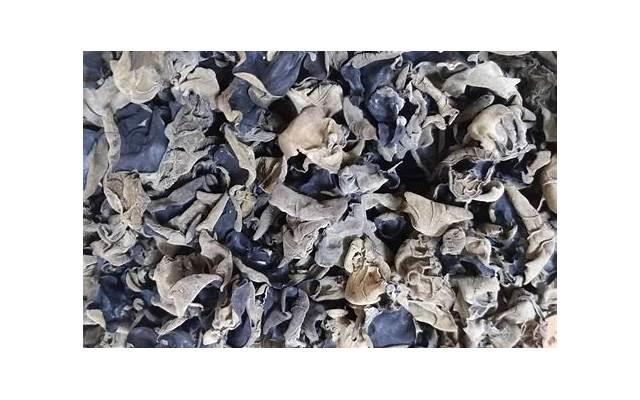 致友谊的句子简短说说(致友谊的句子简短说说图片) 致友谊的句子简短说说(致友谊的句子简短说说图片)