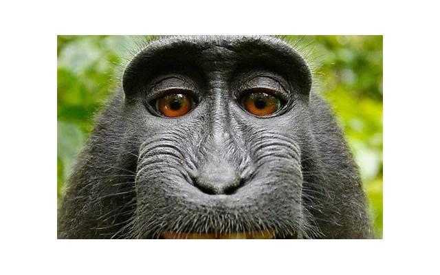 幽默的句子经典语句(幽默笑死人的短句) 幽默的句子经典语句(幽默笑死人的短句)