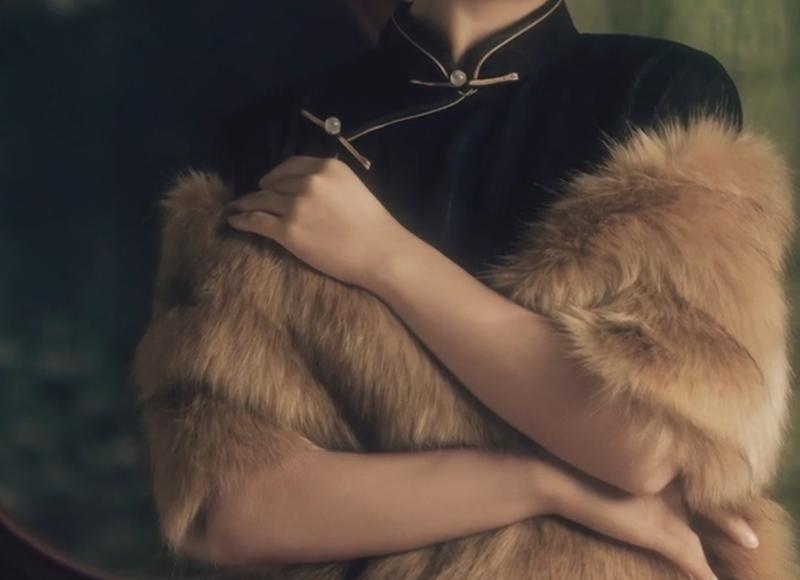 描写小鸟外貌的好句子精选305句 描写小鸟外貌的好句子精选305句