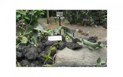 ​陪伴的句子唯美短句古风聚集70句