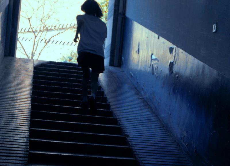 形容林芝的美的句子(精选311句) 形容林芝的美的句子(精选311句)