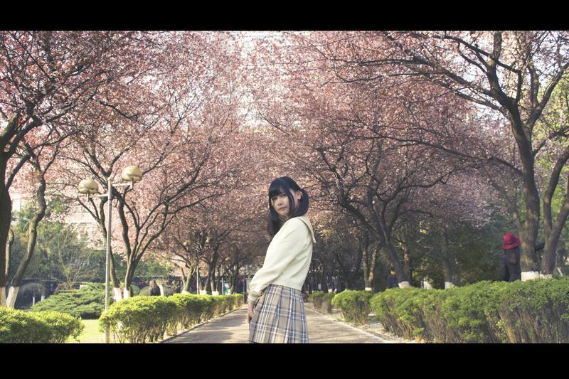 表达书法写得好的句子精选10句 表达书法写得好的句子精选10句