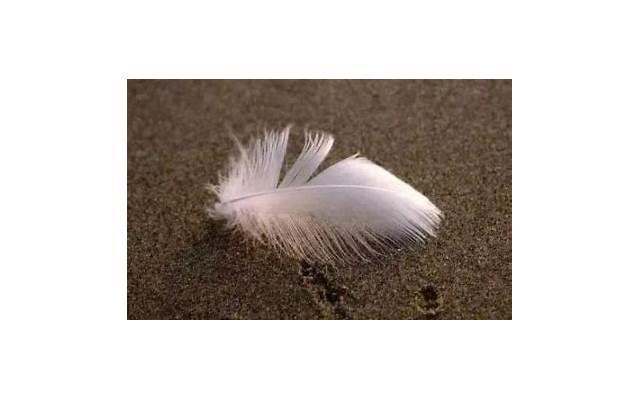  一杯豆浆的经典短句汇聚96句