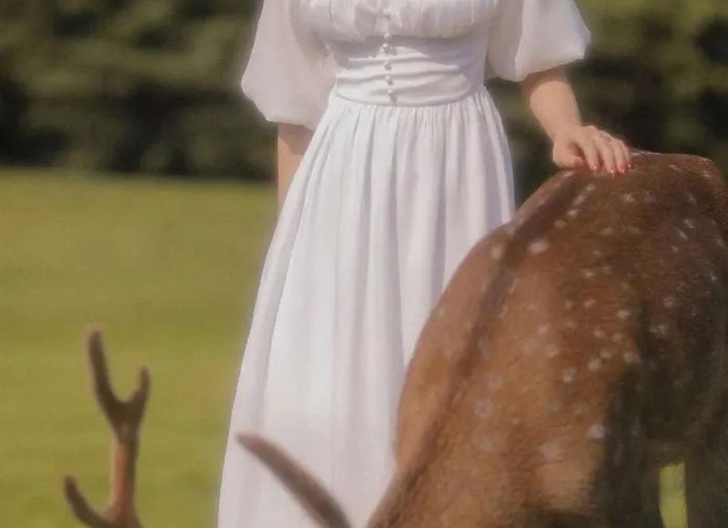 赞美东北人的短句摘录86句 赞美东北人的短句摘录86句