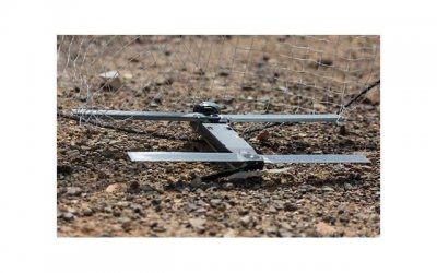 ​暗藏喜欢的4字短句摘录70条