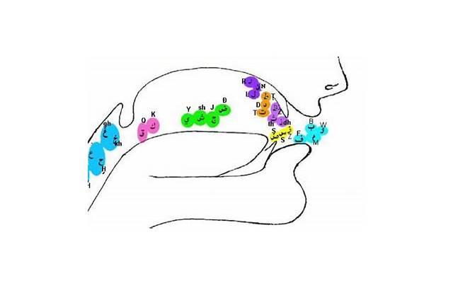 形容聊着聊着就不回复的语句 形容聊着聊着就不回复的语句