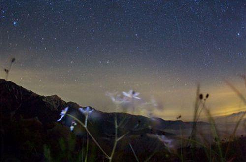 2025年四年级好词好句简短优美的