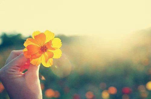 夸女孩子做饭经典话语