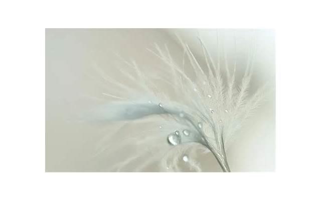 1000句污污土味情话撩女朋友(1000句污污土味情话撩女朋友我能吃吗) 1000句污污土味情话撩女朋友(1000句污污土味情话撩女朋友我能吃吗)