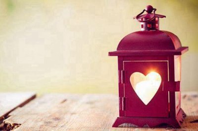 ​花的优美语句30条