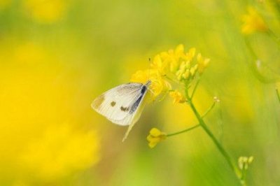 ​一句话吸引人文案 最打动人心的文案(精选54句)