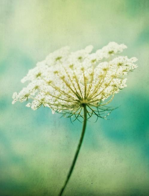 2025年经典霸气语录