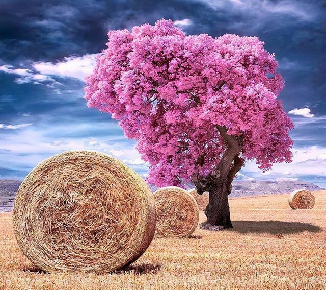 生活随心的句子 生活随心的句子