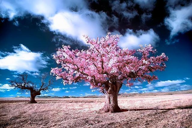 生活随心的句子 生活随心的句子