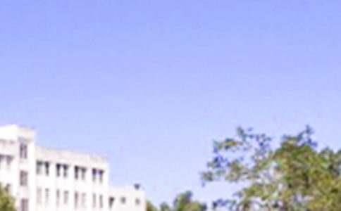 通用温暖的早安微信问候语23句