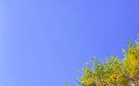 常用早安正能量句子集锦35条