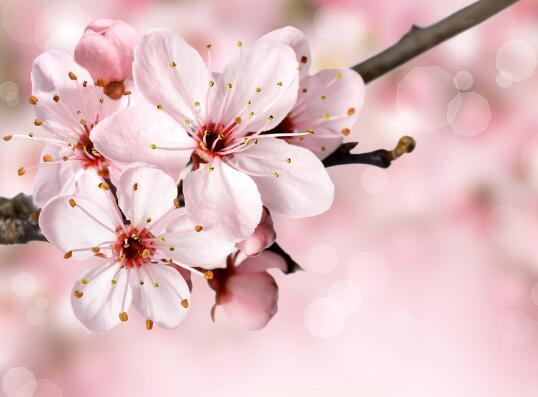 对老公心寒绝望的句子(精选36句)