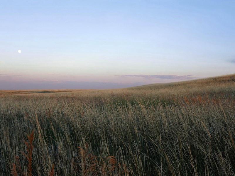 即将远行的心情句子,自己远行感慨的句子(25句)
