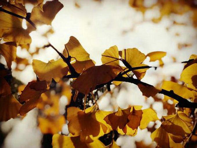 充满阳光的句子2