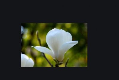 ​夸女孩子漂亮的话(30句)