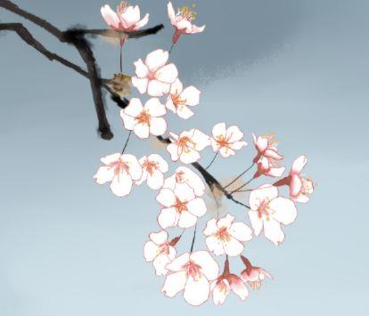 正能量早安语录短句