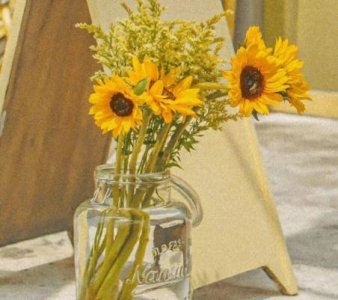 ​唯美婚纱句子(17句)