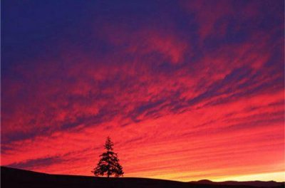 ​描写成功的优美段落 描写成功的优美句子(精选24句)