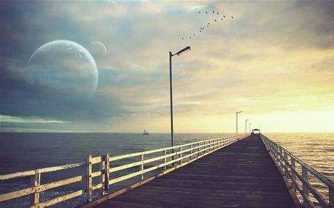 简短的表白的句子集锦35条