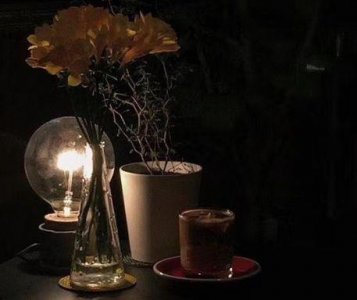 ​2025年描写夏天柳树的优美句子(26句)