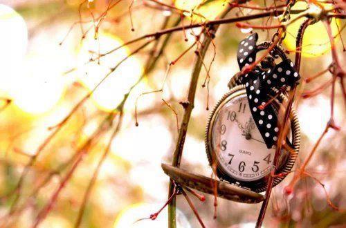 2025抖音最新流行生日句子