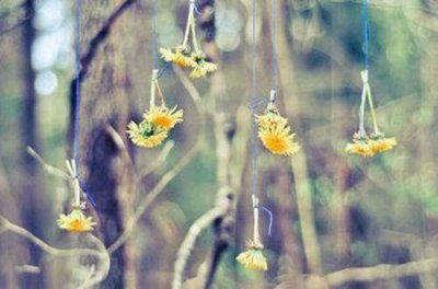 ​早安英文短句带翻译 英文早安句子正能量大全(17句)