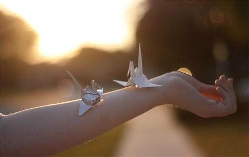 通用树的优美语句锦集63条