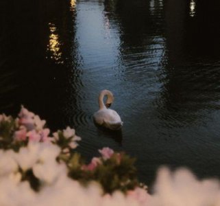 ​常用春天优美语句65条