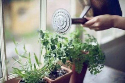 ​工作上的人生感悟句子