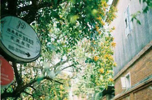 描写忧伤情绪的伤心句子