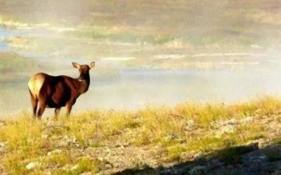 ​比较难懂的哲理句子