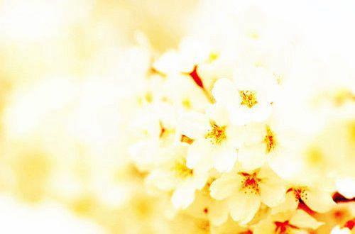 表示对男人失望的句子