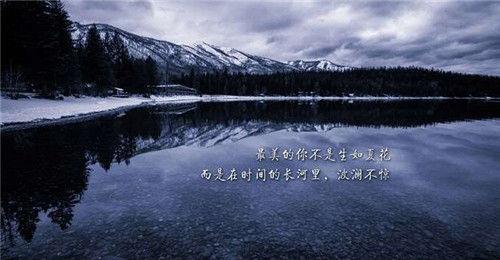 情感语录与感悟简短正能量一句话