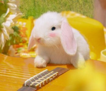 ​高中生活的优美片段语句(精选32句)