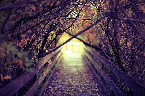 早安简洁的句子 可爱调皮幽默的早安句子