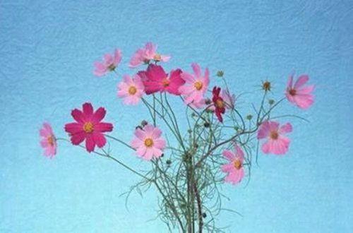 对失望现实的句子